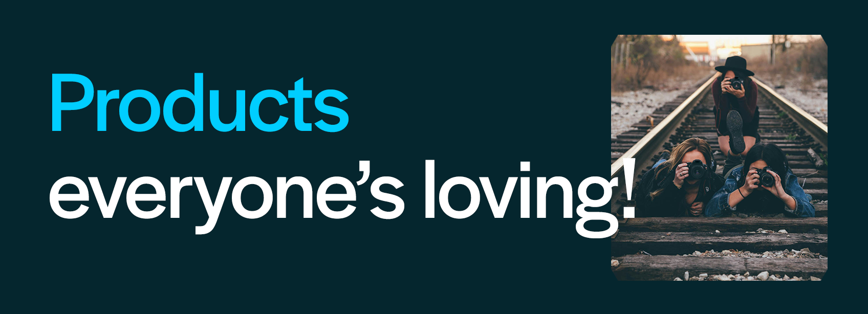 1696 x 614px Products everone loves.png