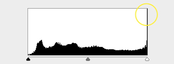 Histogram