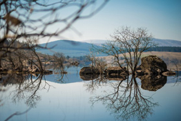 How To Shoot Reflections In Water