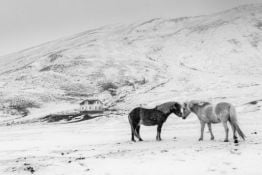 The #WexMondays 2016 Runner-up Interview