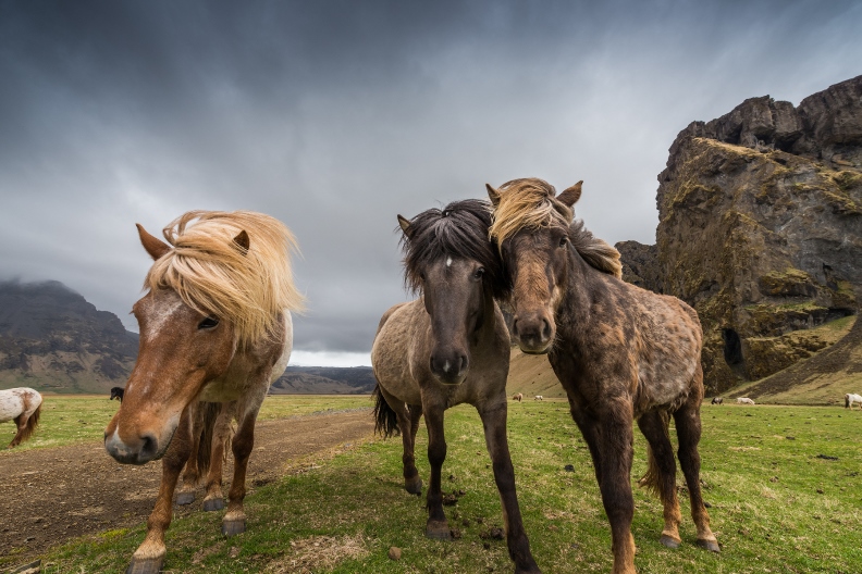 Shooting Landscapes with an Ultra-Wide Lens