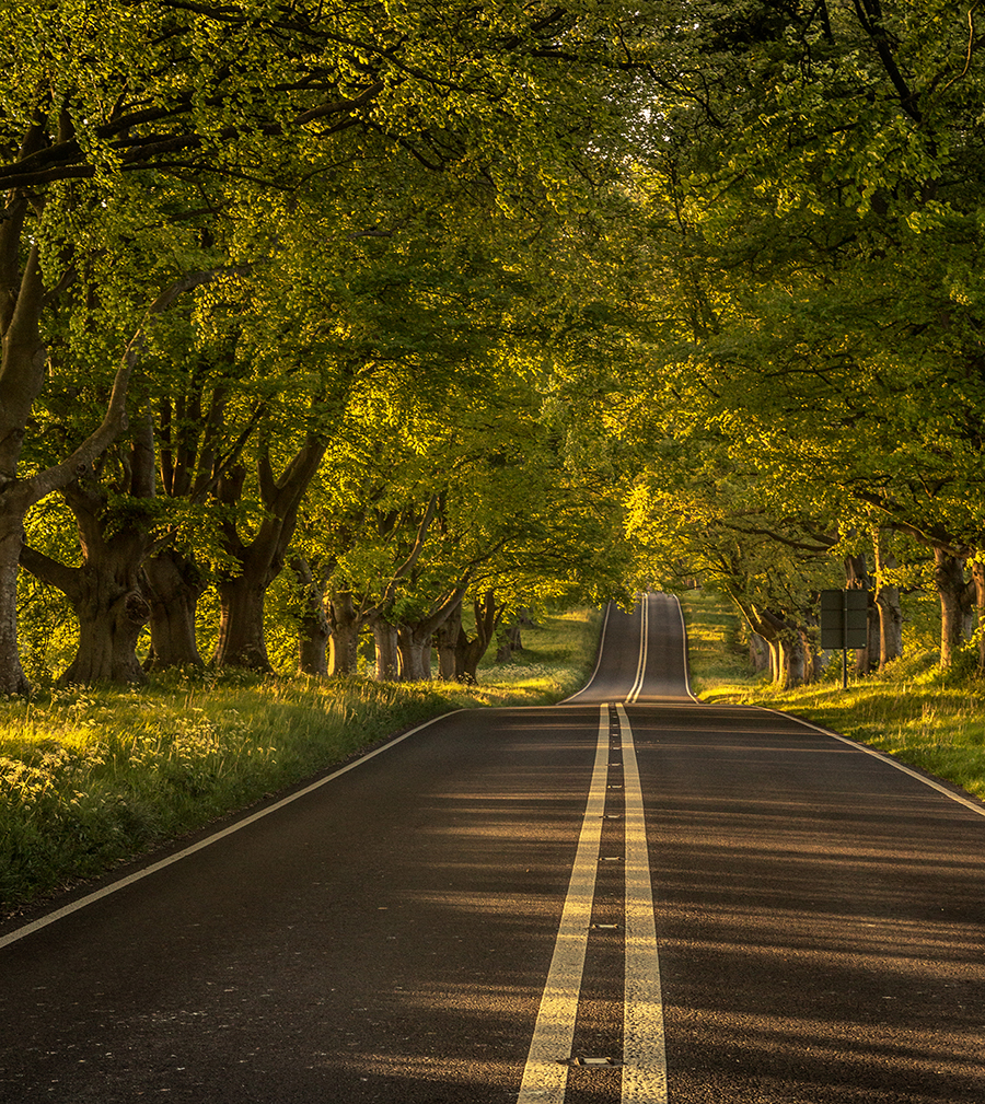 A Photographer’s Guide to Dorset