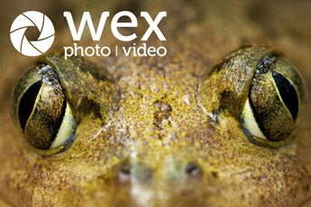 Whether you’re just starting out or looking to refine your technique, these practical tips offer clear, straightforward guidance to help you get the most out of your macro photography.