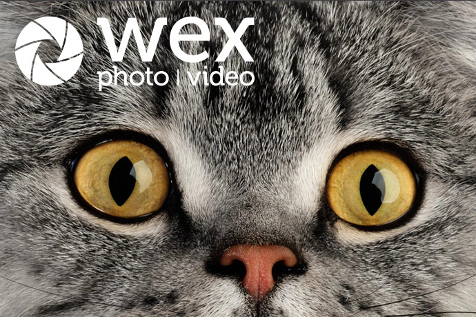 We talk to expert cat photographers to find out why these animals are so fun to photograph, and how you can get better cat shots.