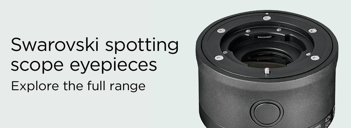 Swarovski Spotting Scope Eyepieces