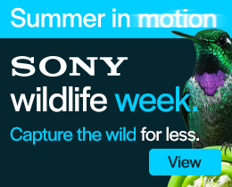 Sony Wildlife Week