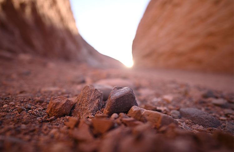 Nikon Z 20mm lens sample image 2