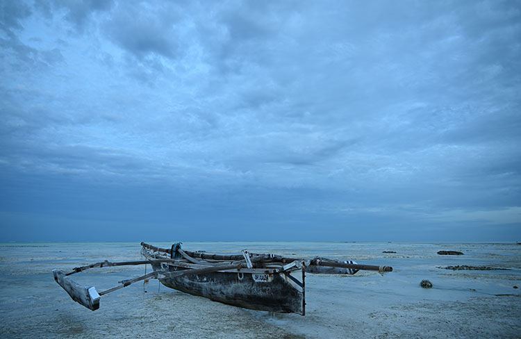 Nikon Z 24 - 200 mm lens sample image 1